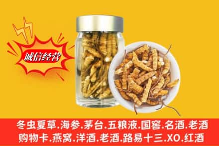 黔南瓮安县回收散虫草