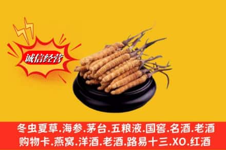 黔南瓮安县求购回收虫草多少钱每克